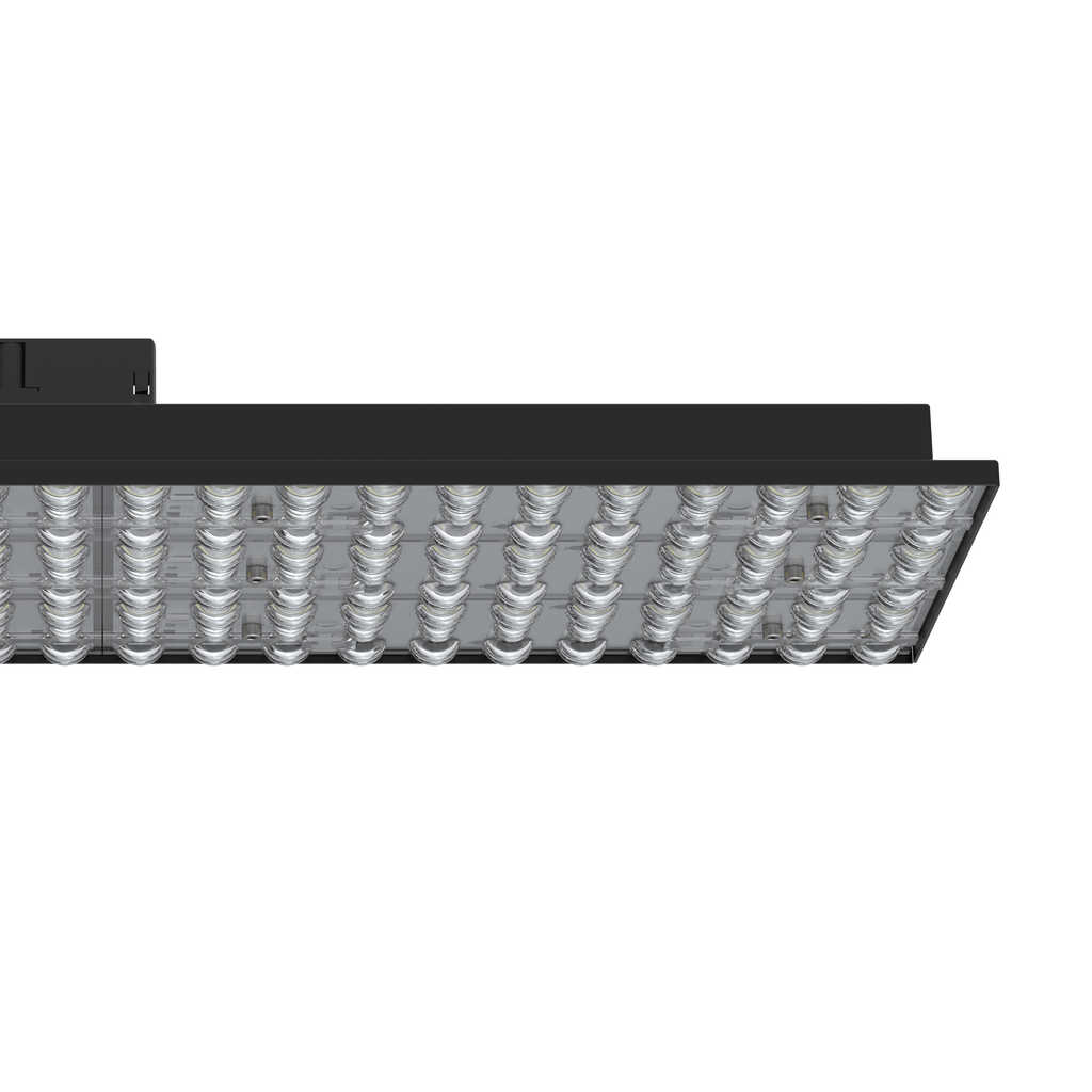 ECOLED 3X2 LED 11820 I TE CAI 580 SD 830 XX DASSIM OF SE (01 — Cotton (RAL 9003))